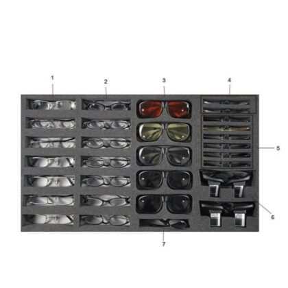 Low Vision Testing Case DSL7
